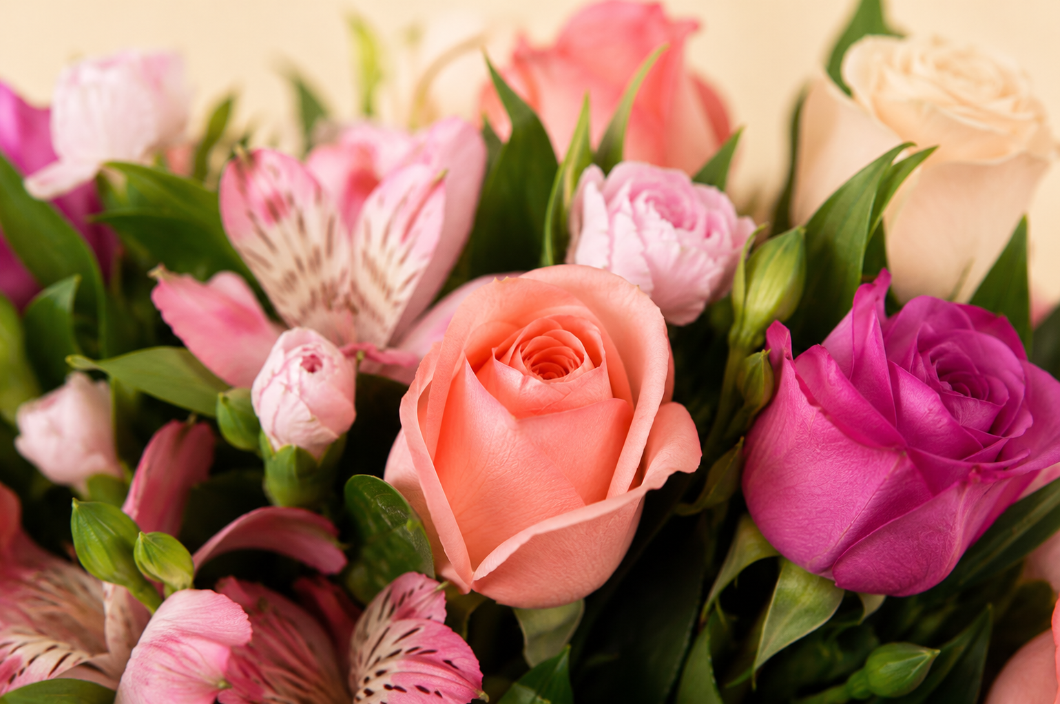 Canasta Mix 50 Rosas