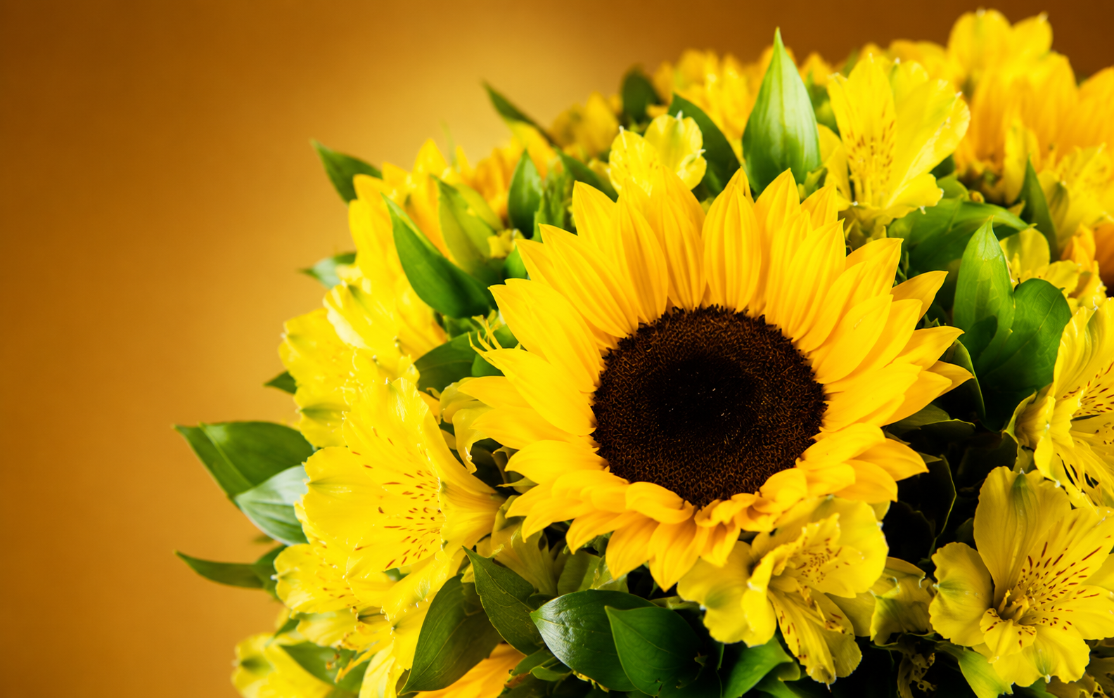10 Girasoles y alstroemelia
