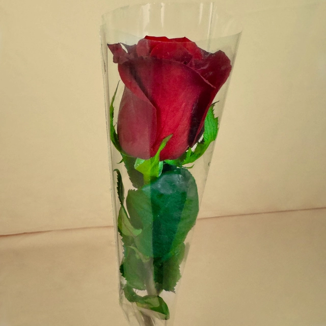 Rosa Individual