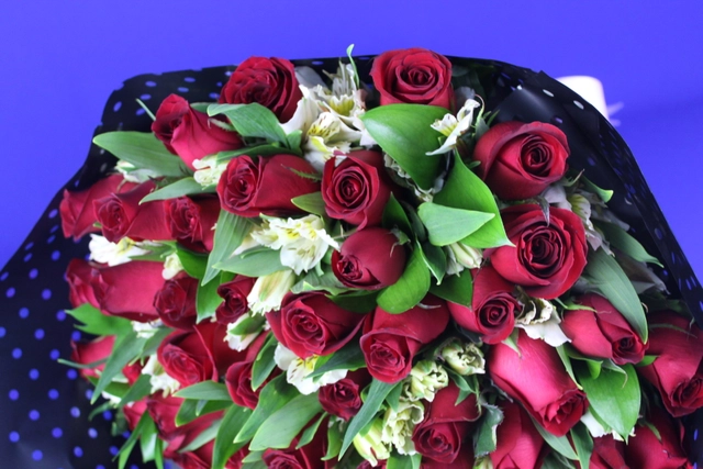 Bouquet 50 Rosas Rojas