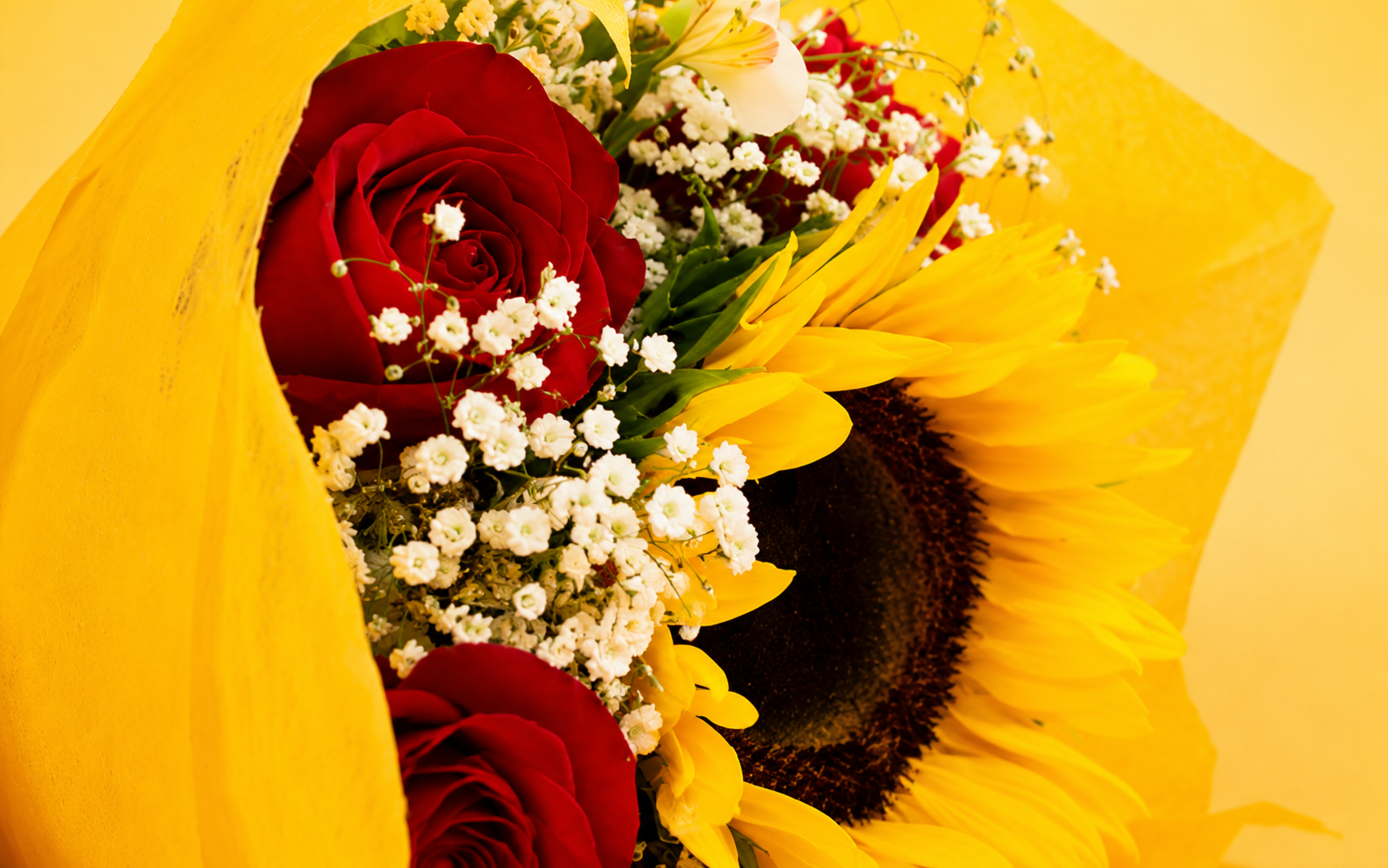 Ramo de 6 Rosas y 1 girasol