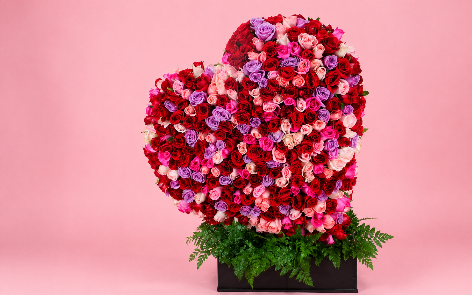 Corazón 450 Rosas