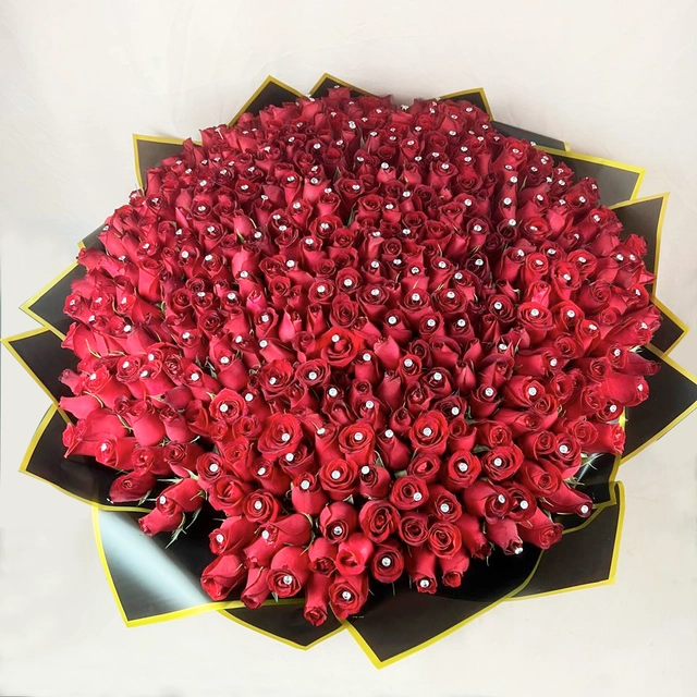 RAMO DE 500 ROSAS
